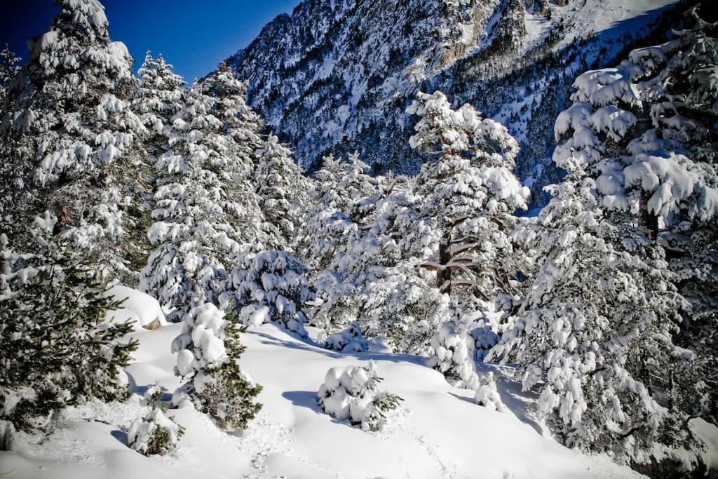 L'Helios Hyper Centre Telecabine 5Min A Pied Cauterets Dış mekan fotoğraf